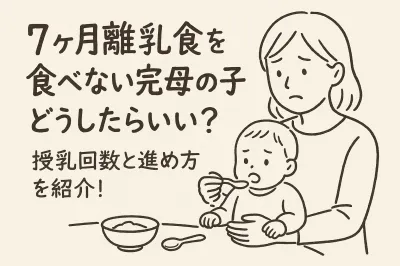 7ヶ月離乳食を食べない完母の子どうしたらいい？授乳回数と進め方を紹介！